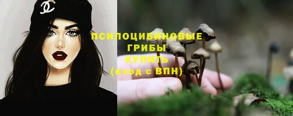 прущая мука Абаза
