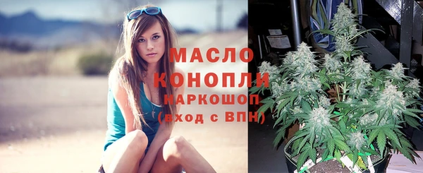 молекула духа Абдулино